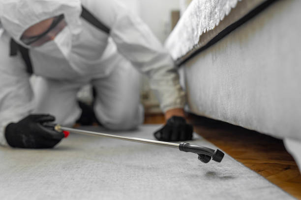 Professional Mosquito Control technician working in Palacios, TX