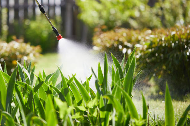 24/7 Emergency Mosquito Control experts in Palacios, TX